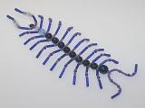 Beaded Centipede #101