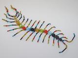 Beaded Centipede #205