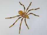 Small 'Gold' Style Christmas Spider Ornament