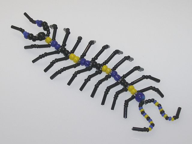 Beaded Centipede #100