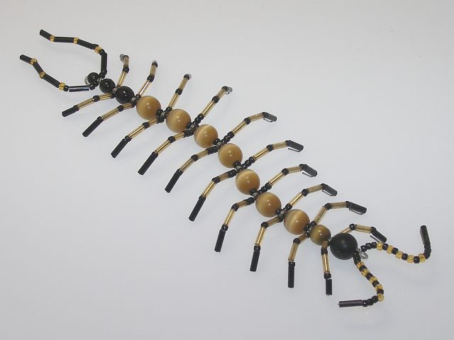Beaded Centipede #201
