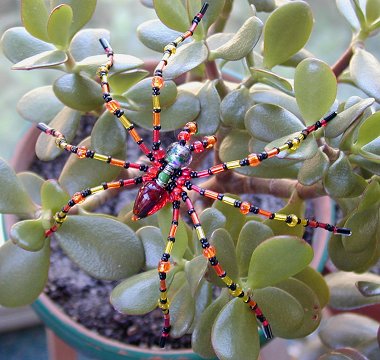Beaded spider on jade plant